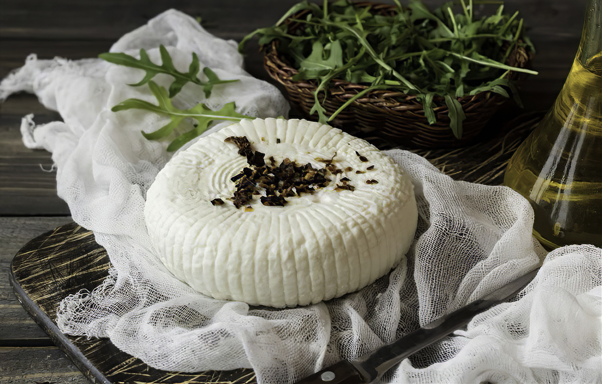 Адыгейский сыр: рецепты приготовления и особенности использования